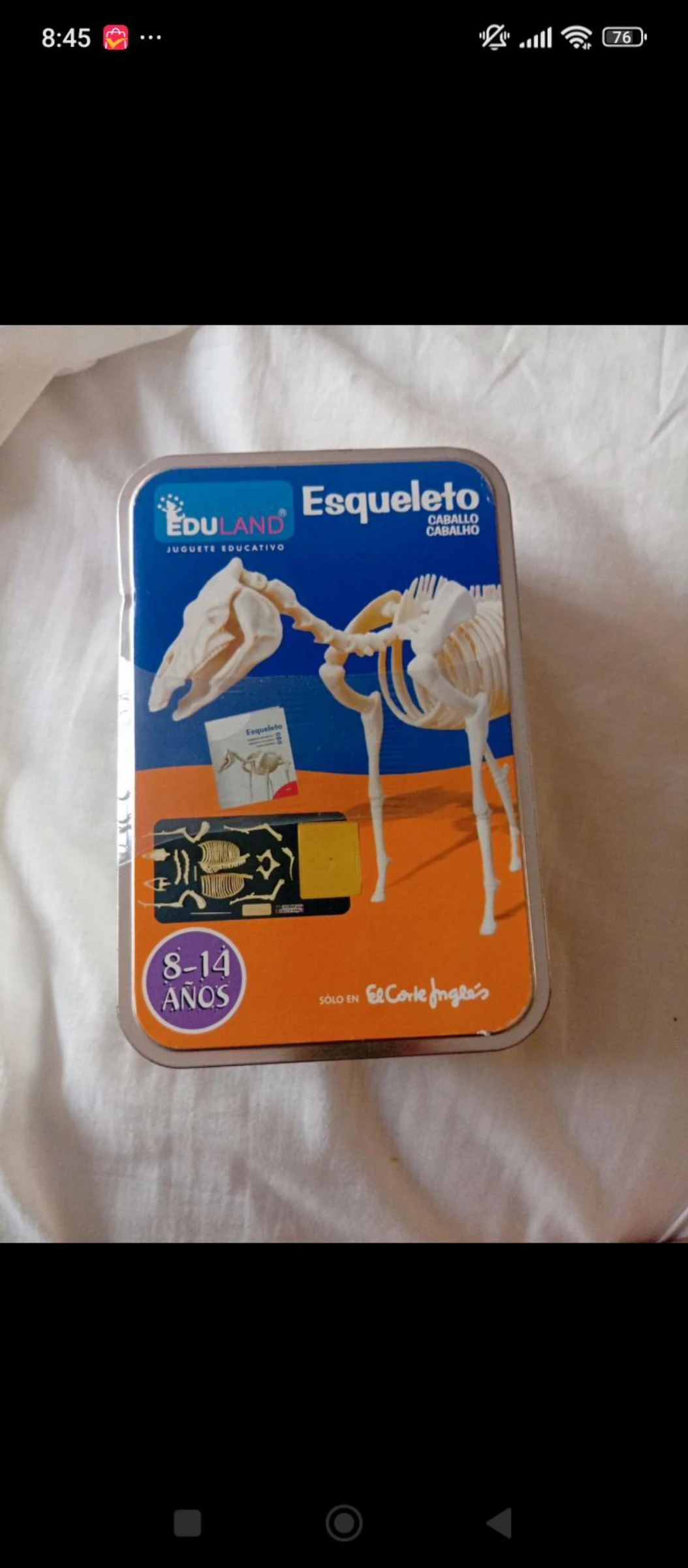 Horse skeleton for riding – photo 2